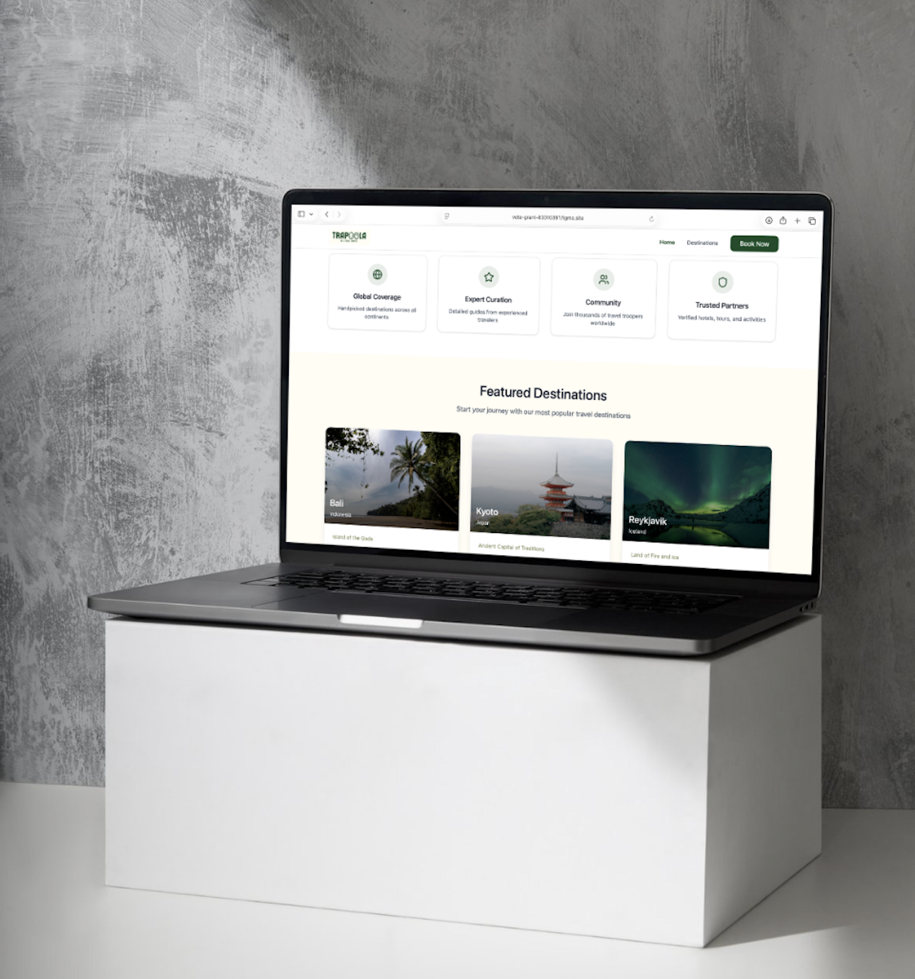 Trapoola brand mockup