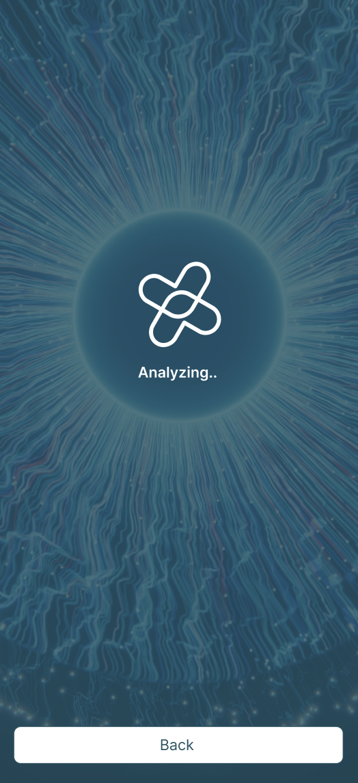 Analyzing — loading screen